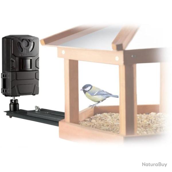 Camera de Chasse Nid Oiseau Petit Animaux 16 MP et des vid�os Full HD Qualit� Allemande
