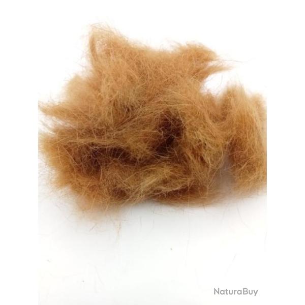 Dubbing 100% Ecureuil " insecte"