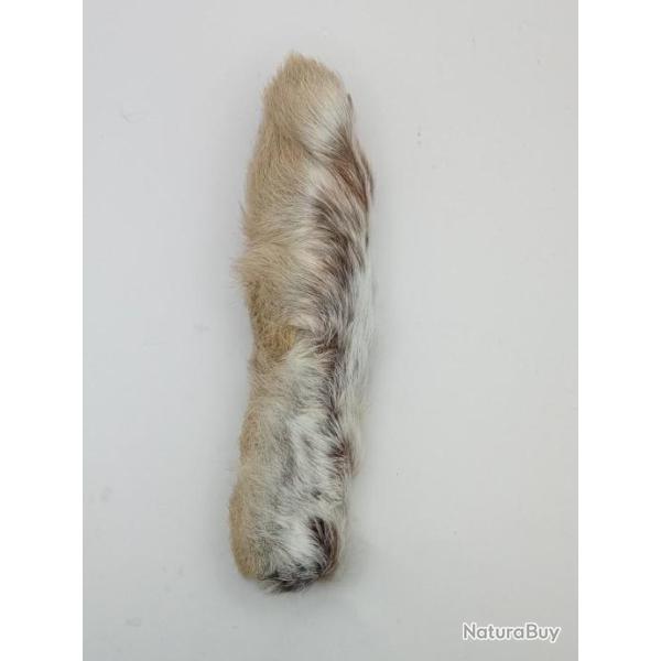 Patte de li�vre arctique (P.L.A) Naturelle