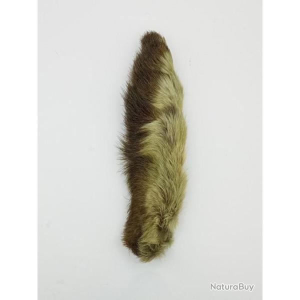 Patte de li�vre arctique (P.L.A) Olive