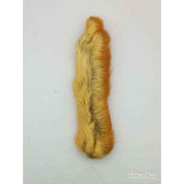 Patte de li�vre arctique (P.L.A) Jaune