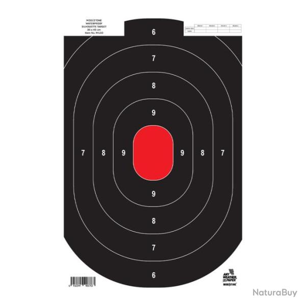 Cibles  25 mtres tout-temps 35 x 40 cm LOT DE 10