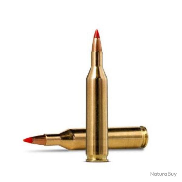 Cartouches Norma V-MAX - Cal. 17 Rem - 300 gr / 19.4 g / Par 5