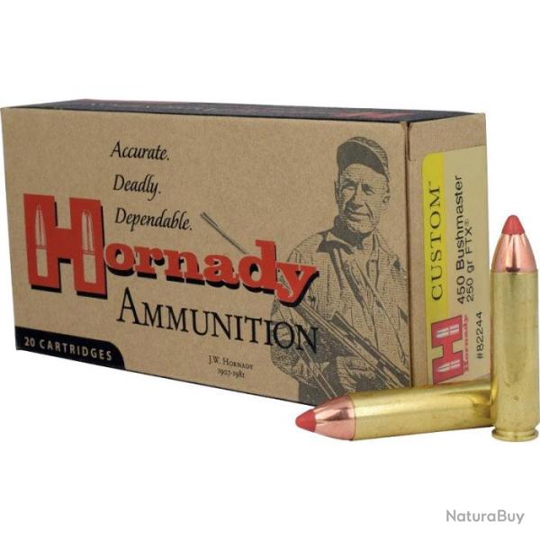 Balles Hornady 450 Bushmaster 250GR FTX