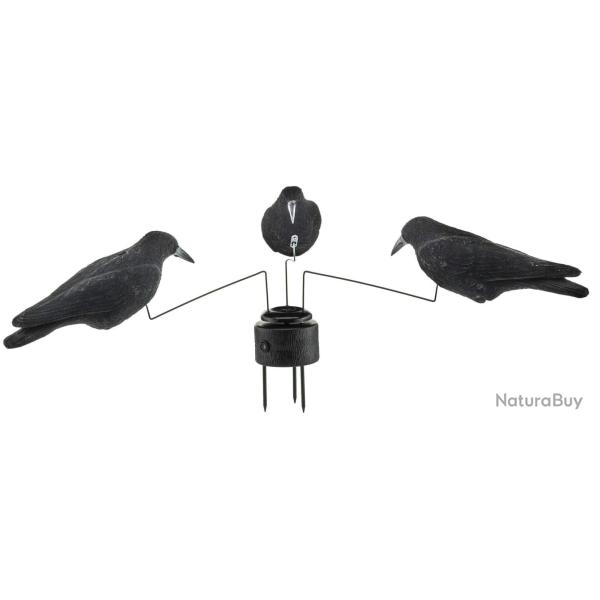 Man�ge � Corbeaux Electrique Europ-Arm