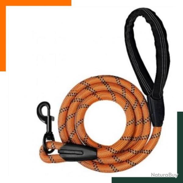 Laisse pour chien 152 cm - Orange - Livraison rapide