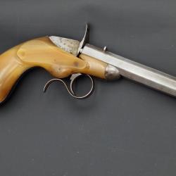 PISTOLET DE SALON FAURE LEPAGE A PARIS CARCASSE MONOBLOC CORNE BLONDE Calibre 22 FLOBERT - FRANCE XI