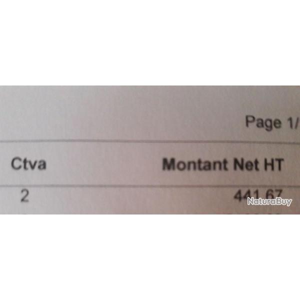 Galerie 4/4 rhino rack