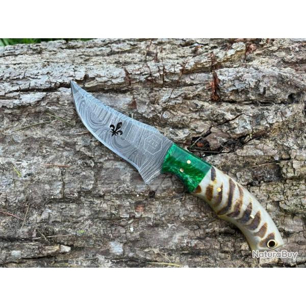 Couteau ROYAL damas forg� LLF corne de b�lier 20cm vert