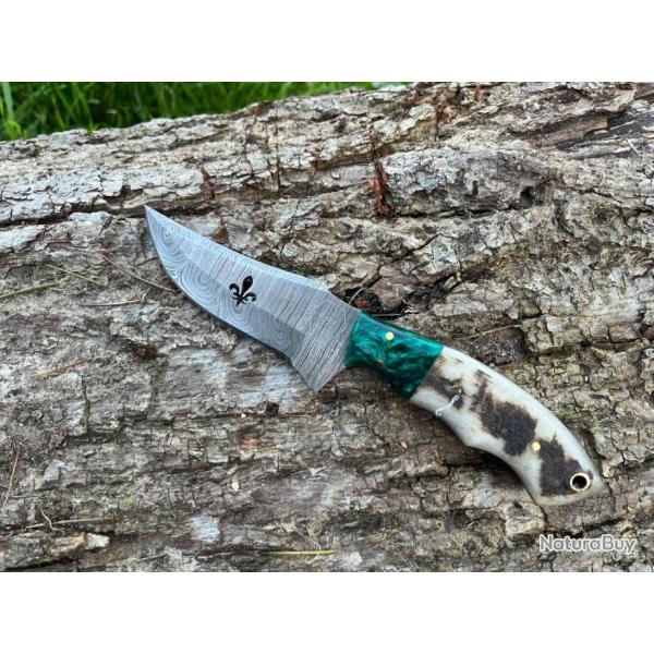 Couteau ROYAL damas forg� LLF corne de b�lier 20cm turquoise