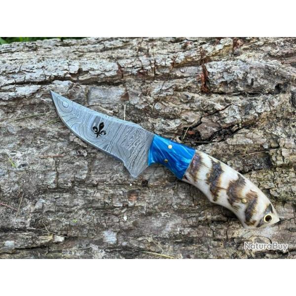 Couteau ROYAL damas forg� LLF corne de b�lier 20cm bleu