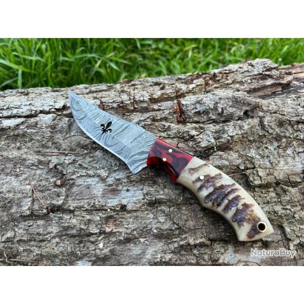 Couteau ROYAL damas forg� LLF corne de b�lier 20cm rouge
