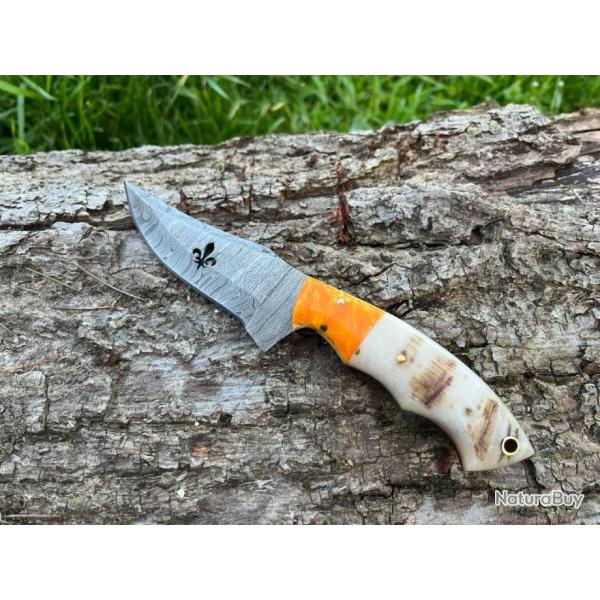 Couteau ROYAL damas forg� LLF corne de b�lier 20cm orang�