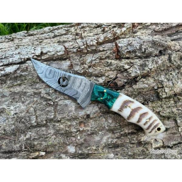 Couteau COQ FRANCAIS damas forg LLF corne de blier 20cm turquoise