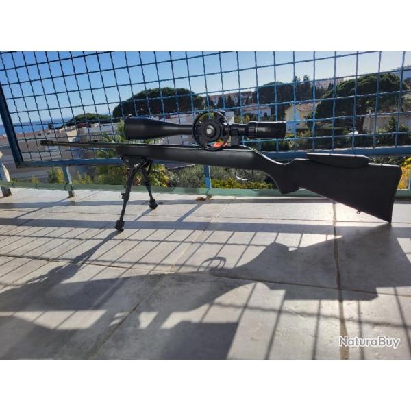 CZ 455 Synthetique Tactical