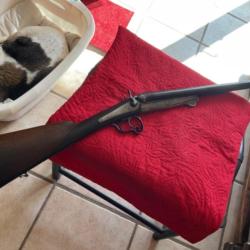 Fusil &agrave; chiens ext&eacute;rieurs, calibre 16 coach gun, chambrage, 65 mm, pas de prix de r&eacute;serve.