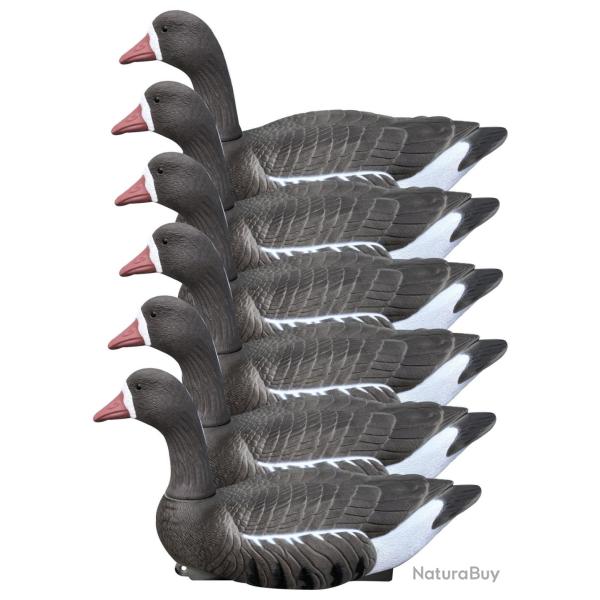 Pack 6 appelants oies rieuses HD flottantes t�tes amovibles