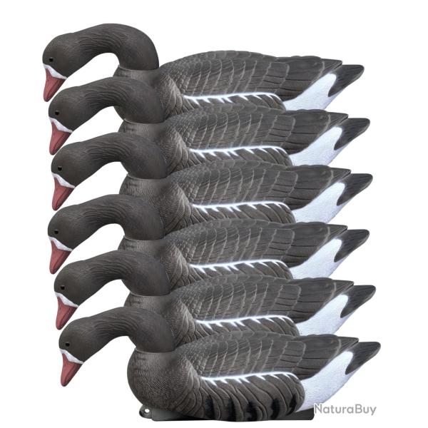 Pack 6 appelants oies rieuses au gagnage HD flottantes t�tes amovibles