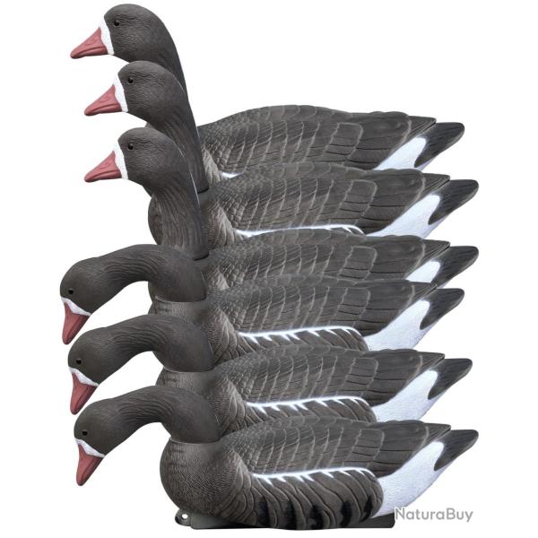 Pack 6 appelants oies rieuses actives HD flottantes t�tes amovibles