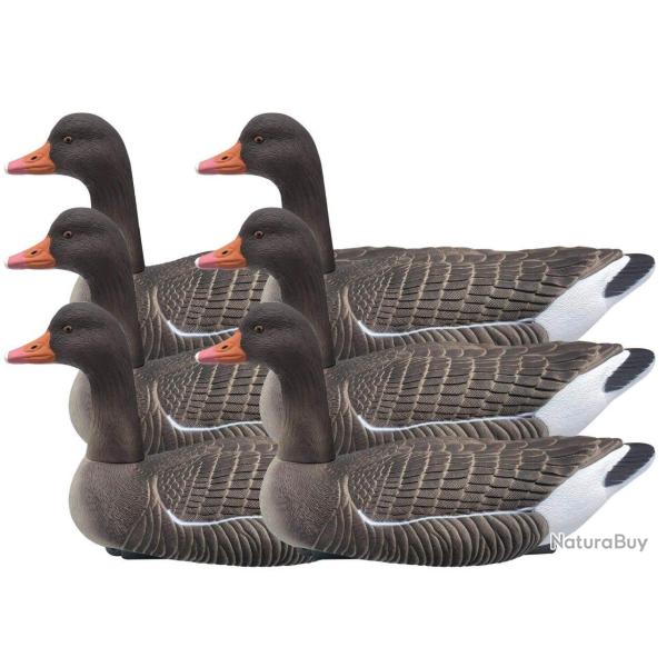 Pack 6 appelants oies cendr�es HD flottantes t�tes amovibles