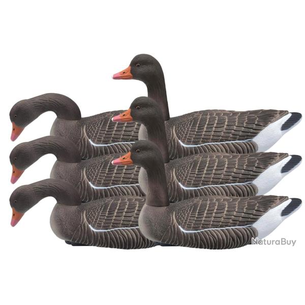 Pack 6 oies cendr�es flottantes actives HD