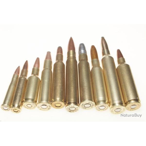Collection  10 cartouches  gros calibres diffrents
