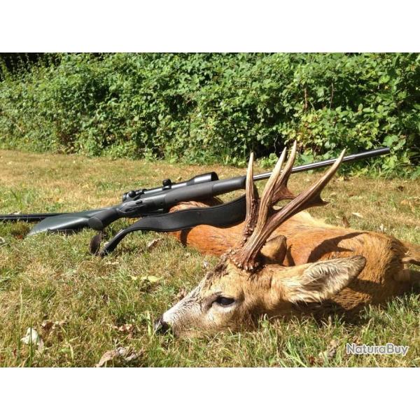 Monteria en Espagne 2025- 26