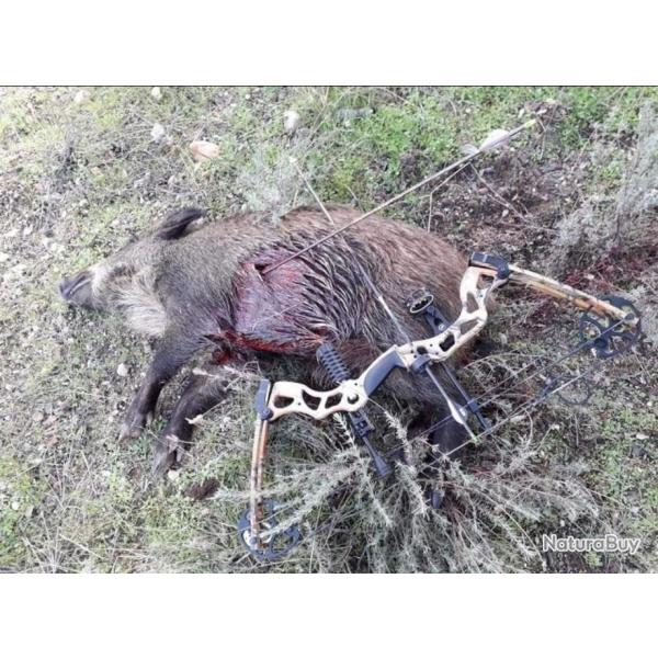 Chasse � l'arc en Espagne