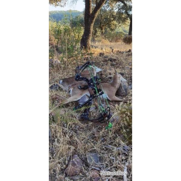 Chasse � l'arc 2025- 26