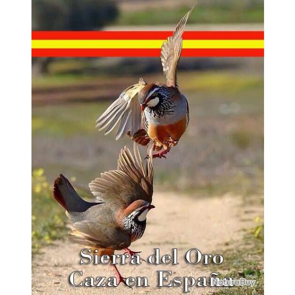 Caccia alla pernice 2025- 26