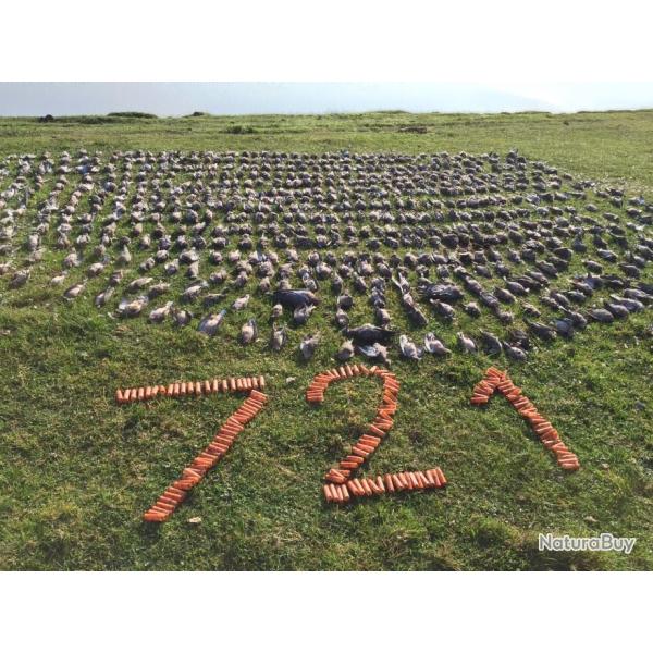 Caccia in Argentina 2025- 26