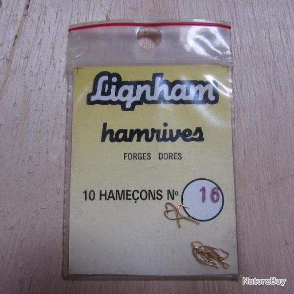 10 Hameons forgs dors N16