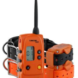 Pack Canicom 1000 pour deux chiens Num Axes