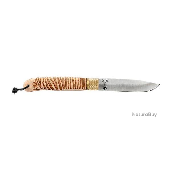 DECALE - S�rie Sauvage FOCUS ZEBRE