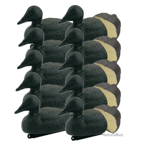 Pack 10 appelants eiders noirs mouss�s