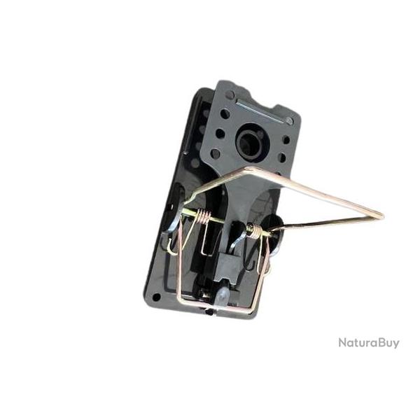 Pige  Rats Innovant avec Appt Mchoire