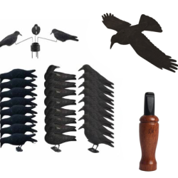 Pack GOLD 24 appelants, appeau, EVA et man&egrave;ge &agrave; corbeaux