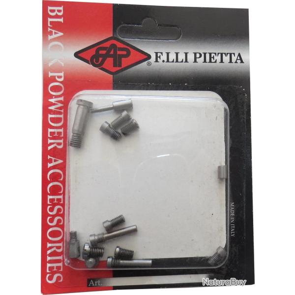 Set vis pour 1873 SA Inox Pietta