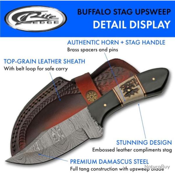 Couteau Damas Skinner Buffalo Stag Lame Acier 256 Damas Manche Corne Etui Cuir DM1356