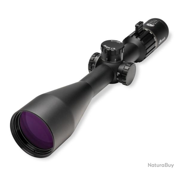 Lunette Burris RT-25 5-25x56mm SCR 2 Mil