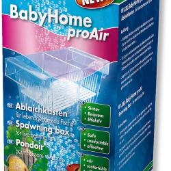 BABY HOME PRO AIR JBL