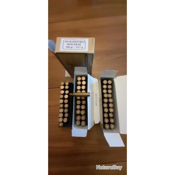 douilles de 300 blaser mag