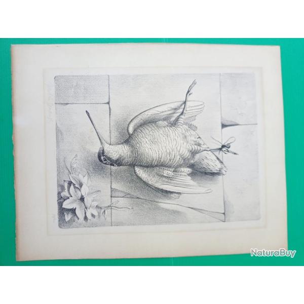 LITOGRAPHIE DE L ARTISTE  " JEAN. LIN . DESCAMPS " . BECASSE . SIGNEE PAR L ARTISTE .