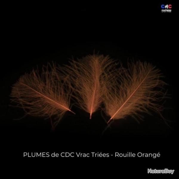 CDC Premium teint� rouille orang�