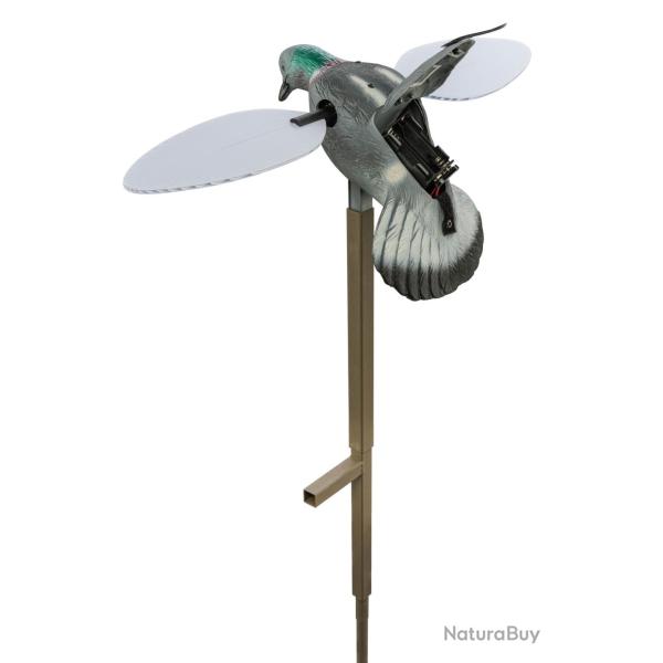 Appelant Pigeon Mojo Outdoors � Aile Tournante
