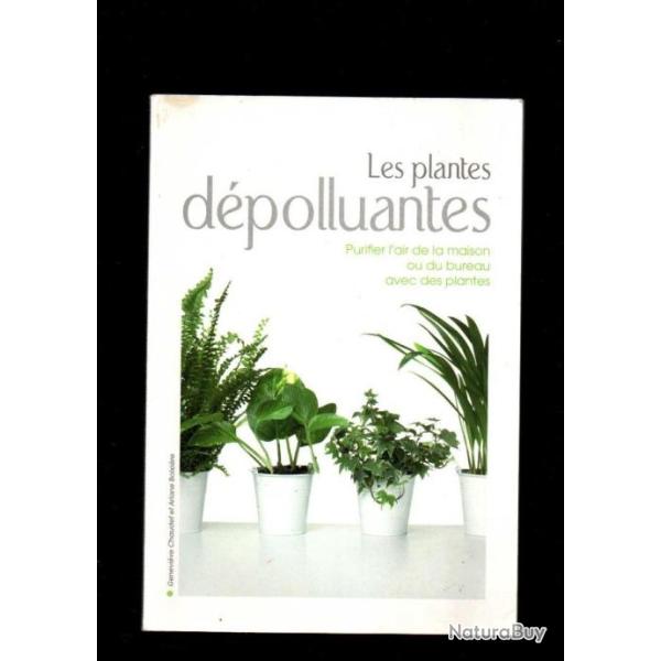 Les plantes d�polluantes : purifier l'air de la maison ou du bureau avec des plantes
