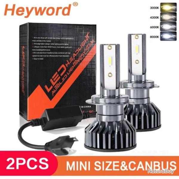 Ampoules H7 Led 6000k