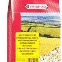 TOURNESOL BLANC 600GR