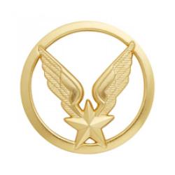 Insigne de b&eacute;ret dor&eacute; Aviation L&eacute;g&egrave;re Arm&eacute;e de Terre