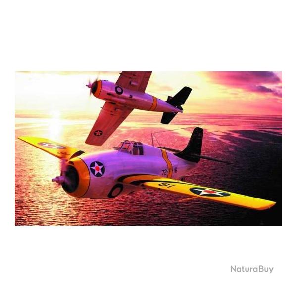 F4F-3 Wildcat early 1/48 | Hobby boss (0000 3309)